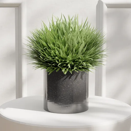 Decorative Potted Grass Plant