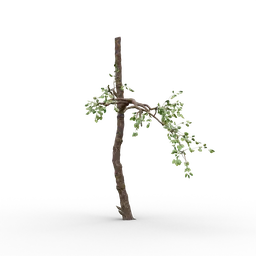 "High-quality 3D model of an old tree with minimal branches, designed with Blender 3D. This detailed and realistic tree model is perfect for adding natural scenery to any project, with inspiration drawn from Master of the Embroidered Foliage and Bruce McLean. Rendered in Houdini and suitable for use in Unreal Engine 5 and Frostbite 3."