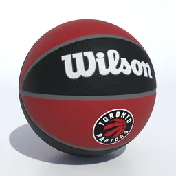 Wilson Toronto Raptors Basketball