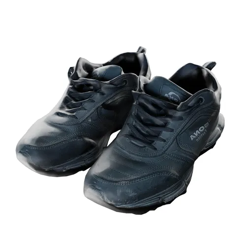 Old,worn-out shoe