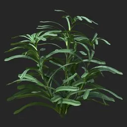 Dense Green Leafy Simple Plant