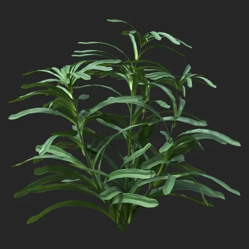 Dense Green Leafy Simple Plant