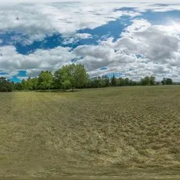 Cloudy park grass Prague Parukarka