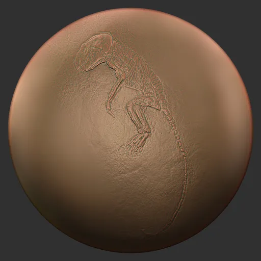 ER_Fossil Brush-reptiles