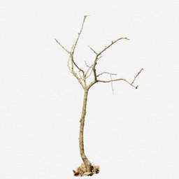 Dead Tree Dry PBR Scan 03