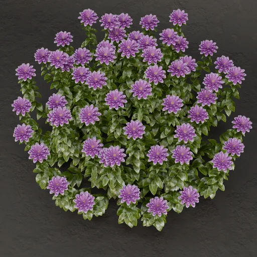 SJ-Majestic Flower Arrangement
