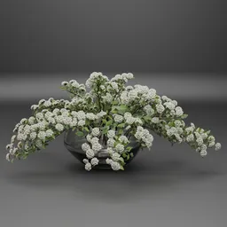 White Spirea Flower Arrangement