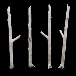 Plant stem