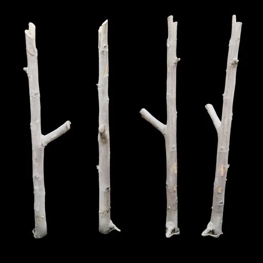 Plant stem