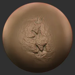 ER_ Fossil Brush_dinosaur footprint