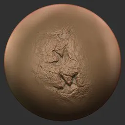 ER_ Fossil Brush_dinosaur footprint