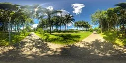 360-degree HDR panorama of coastal scenery with palm trees, pathways, and lush grass for realistic lighting in 3D scenes.