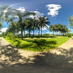 Shady roads on sunny days 16k