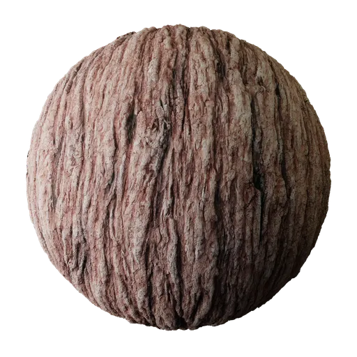 Tree Bark