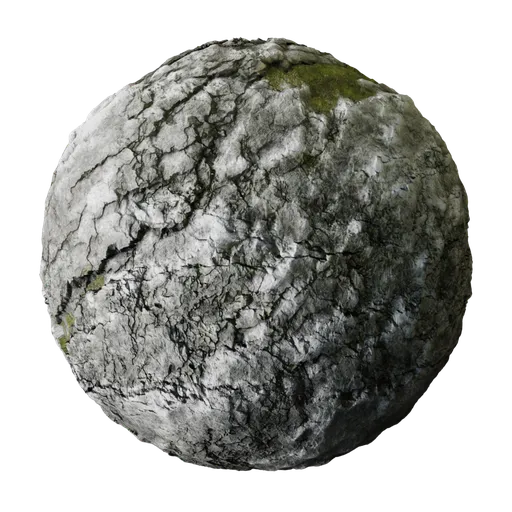 Rock with Snow and Moss