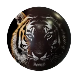Image to Halftone
