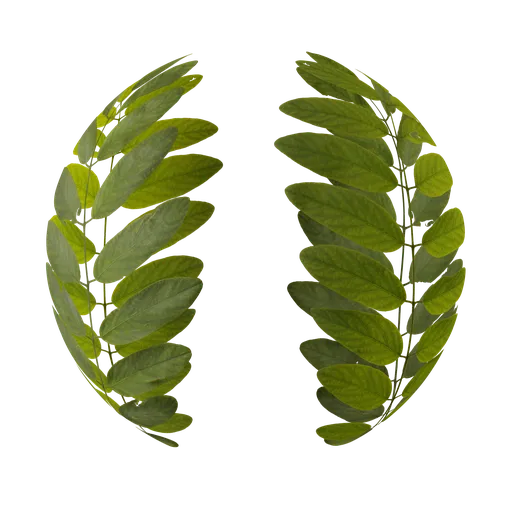 Leaf atlas