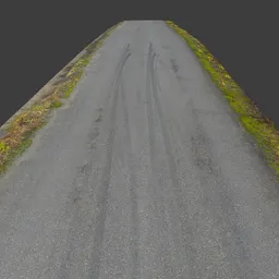 Road Rural Photoscan