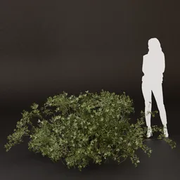 SJ-Dense Woodland Corner Bush