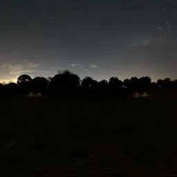 Garden Fall Backdrop Night