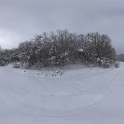 Snowy Forest Entrance