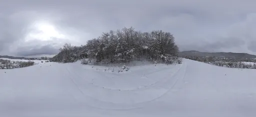 Snowy Forest Entrance