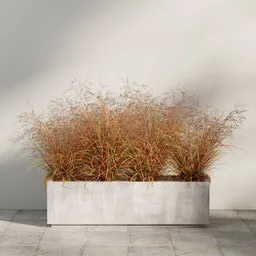 Autumn Breeze Ornamental Grass Planter