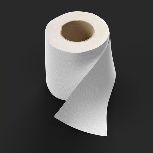Toilet Tissue