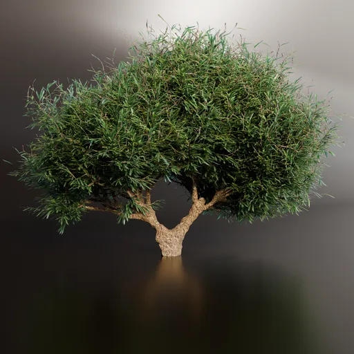 Detailed 3D olive tree model with realistic leaves and textured trunk, suitable for Blender garden and landscape scenes.