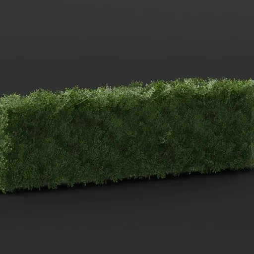 Hedge Straight 4M