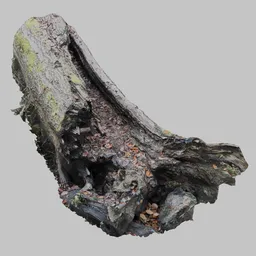 Photoscan dead fallen tree root