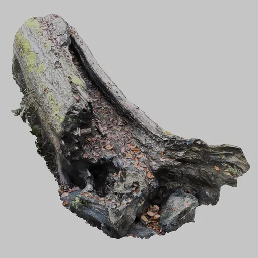 Detailed 3D scanned model of a decaying tree root for Blender rendering, ideal for natural scene assets.
