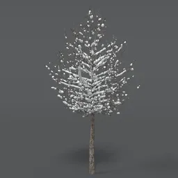 Tree With Snow