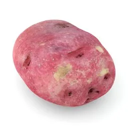 "Highly detailed 3D scan of a red potato, perfect for Blender 3D food scenes and culinary visuals"