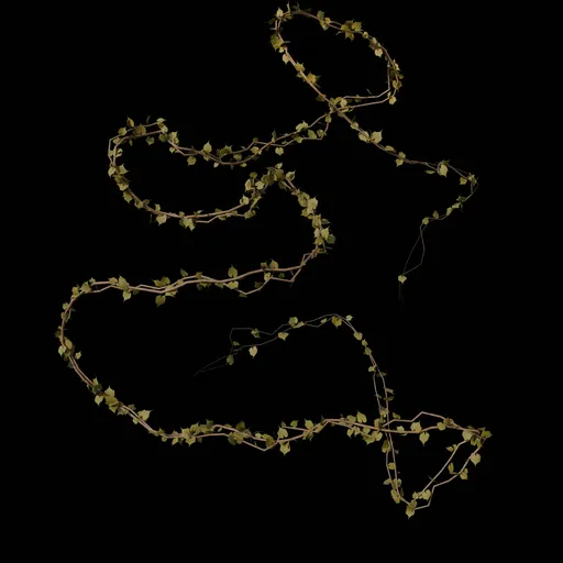 Climbing Vine - Leaf 08