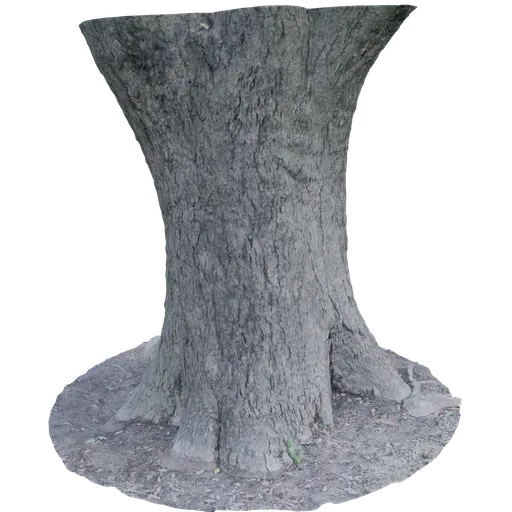 Big Trunk scan