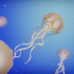 Detailed high-poly 3D jellyfish model with intricate tentacles floating, rendered in Blender.