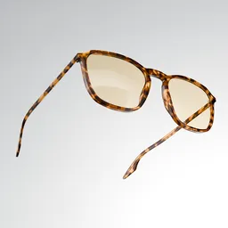 Ray Ban Sunglasses