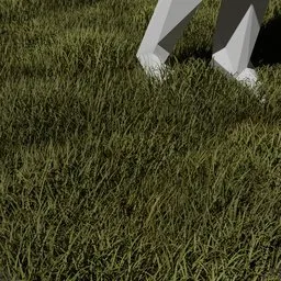 Garden Grass Free