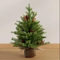 Evergreen Cozy Pine