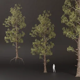 SJ-Ethereal Pine Guardian