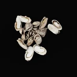 Dry Mango Seeds