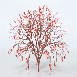 Street Tree