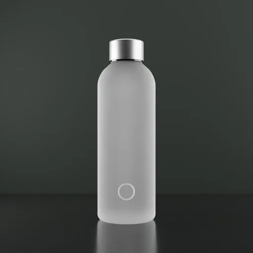 Glass Water Bottle