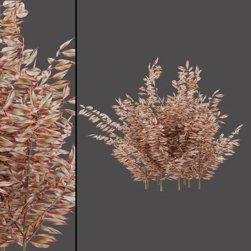 Pink Forest Shrub