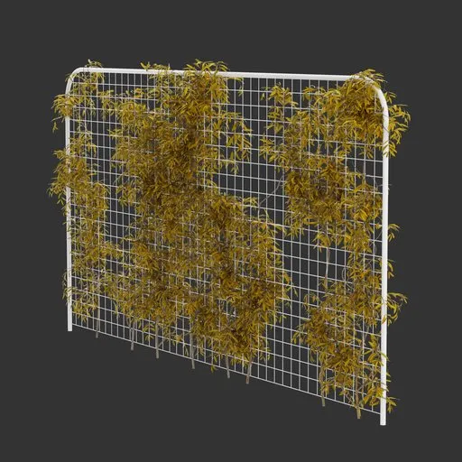 Fence Ivy Autumn Plant
