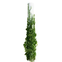 Plants Hanging On Pillars