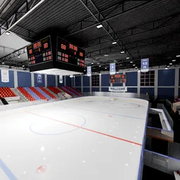 Professional Hockey Arena