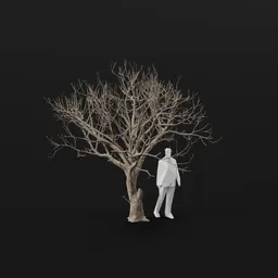 Olive Tree Dead Large