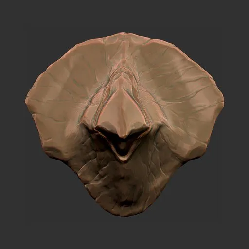 Skull Crest Scale